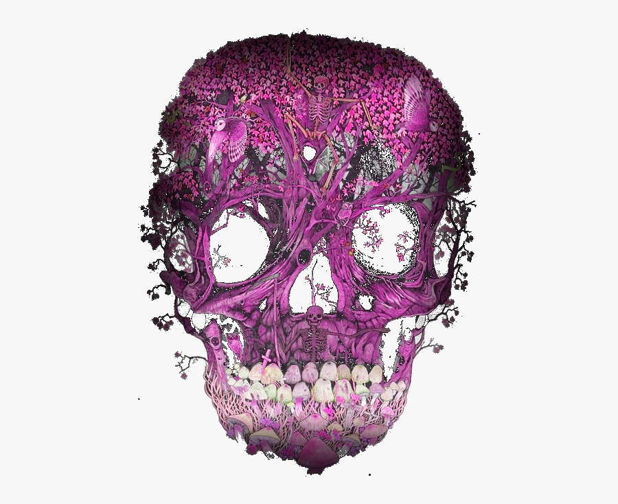 #sugarskull #skull #artistic #psychedelic #pink #head - Skull Art No Background, Transparent Clipart