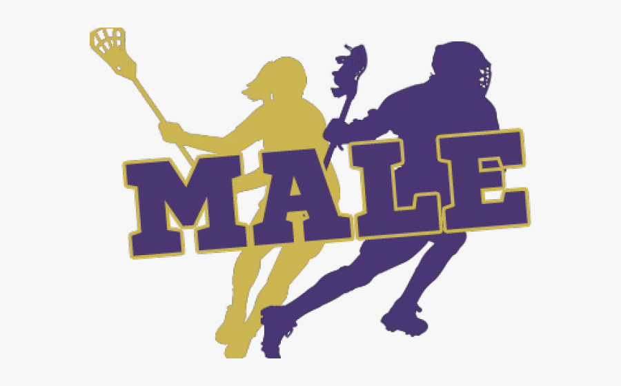 Lacrosse Clipart Male - Illustration, Transparent Clipart