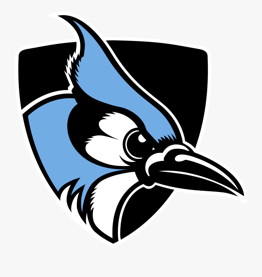 Transparent Lacrosse Clipart - Blue Jay Johns Hopkins Logo, Transparent Clipart