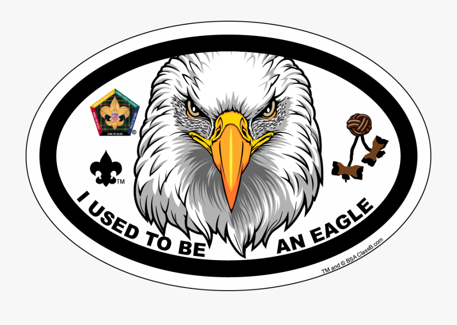 Wood Badge Eagle Car Magnet, Transparent Clipart