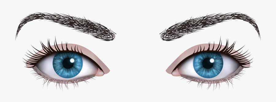 Blue Female Eyes Png Clipart - Brown Female Eyes Clipart, Transparent Clipart