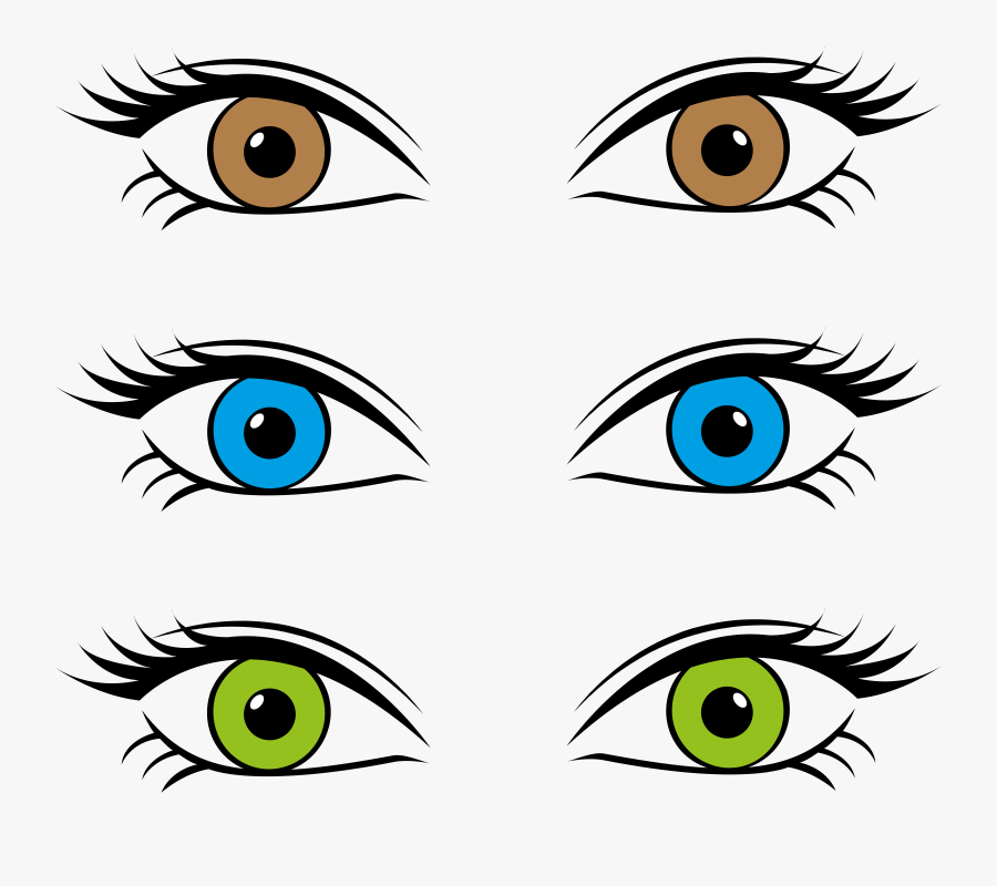 Eyebrow Clipart Green Eye - Blue Brown Green Eyes Clipart, Transparent Clipart