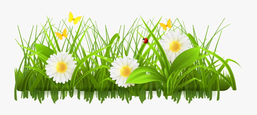 Transparent April Showers Bring May Flowers Clipart - Flower Grass Border Design, Transparent Clipart