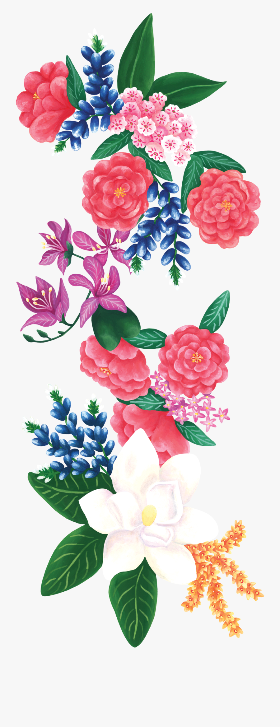 Garden Roses, Transparent Clipart