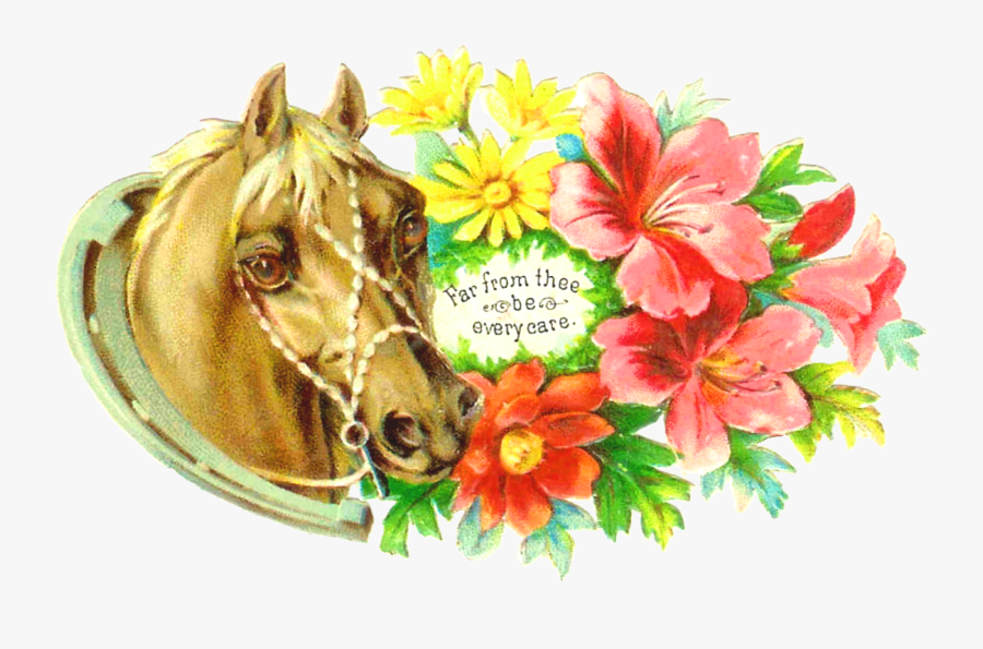 Lily Family, Transparent Clipart