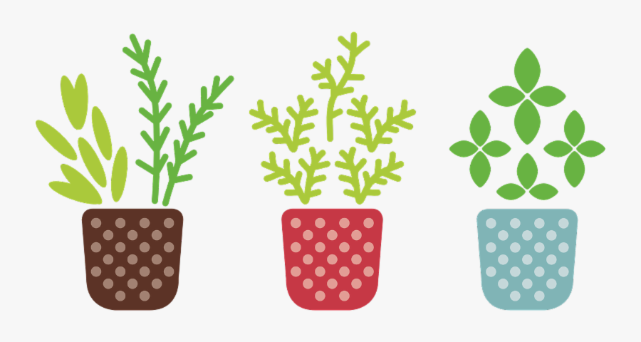 Potted Plant Clipart Transparent Background, Transparent Clipart