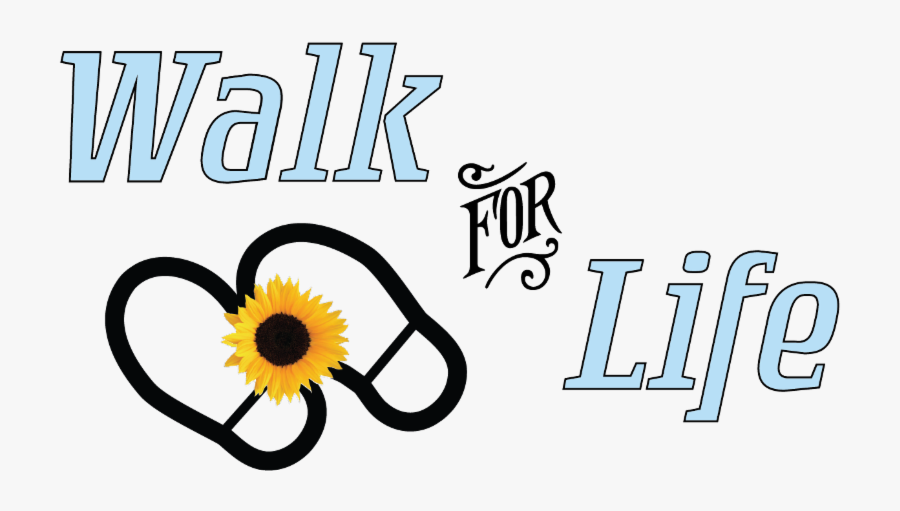 Sunflower, Transparent Clipart