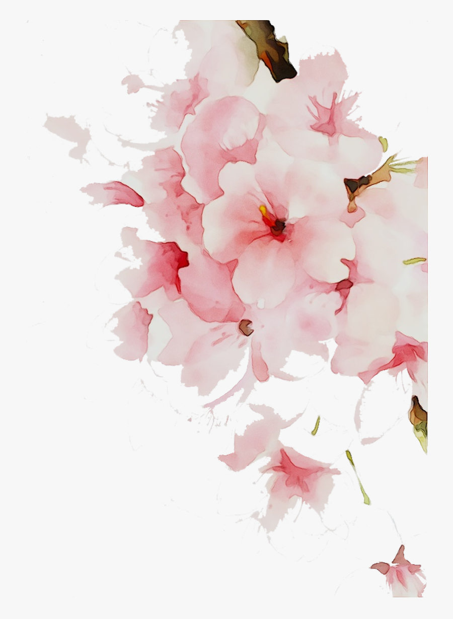 Flower Clip Art Unc - Cherry Blossom, Transparent Clipart