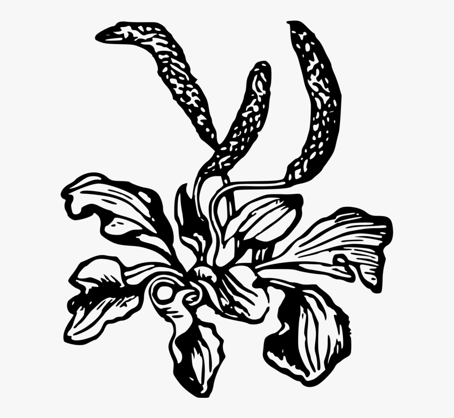 Butterfly Computer Icons Download Flower Catkin Free - Iris, Transparent Clipart