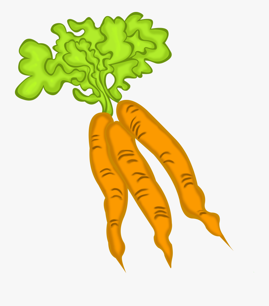Transparent Carrot Clipart - Morot Piska, Transparent Clipart