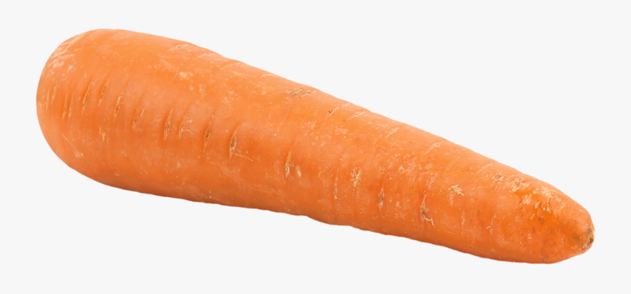Clip Art Carrott Noses - Carrot Png, Transparent Clipart