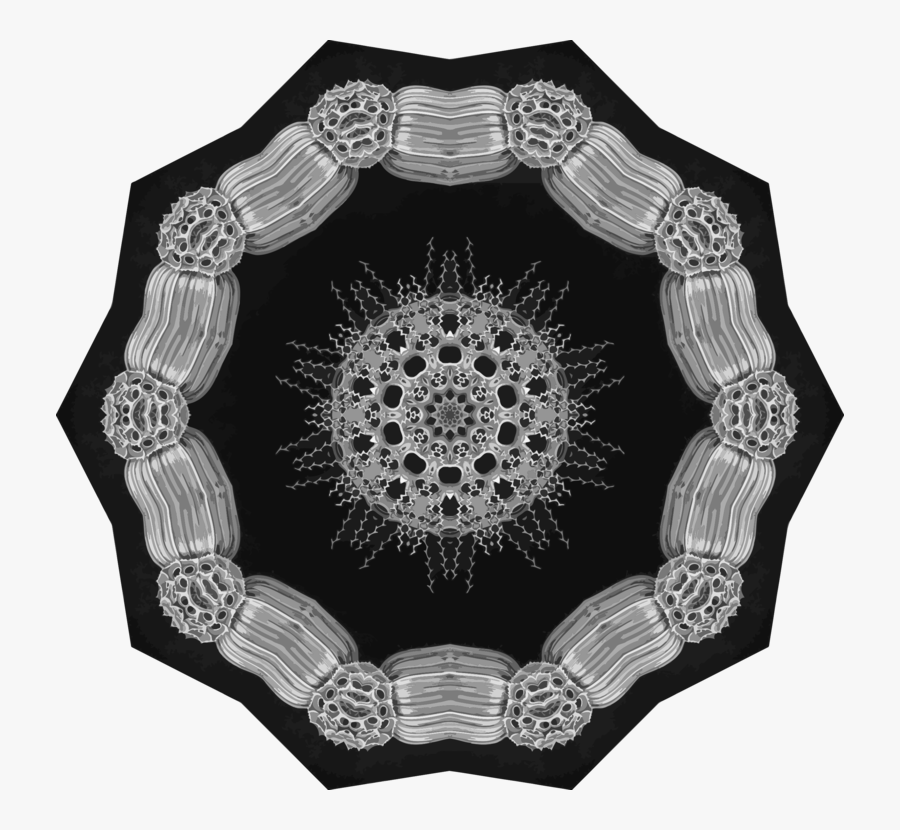 Circle,black And White,ford - Pewag Omnimat Ring, Transparent Clipart