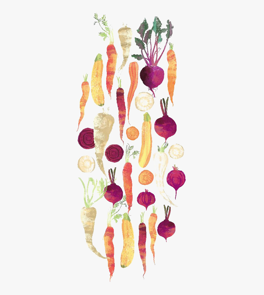 Graphic Black And White Library Carrot Clipart Watercolor - Vegetable, Transparent Clipart