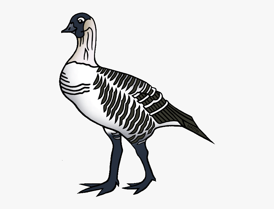 Hawaii Clipart Bird - Hawaii State Bird Png, Transparent Clipart