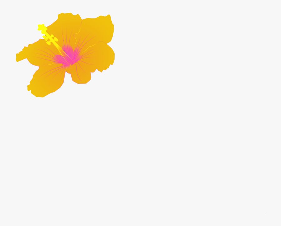 Hibiscus - Hibiscus Clip Art, Transparent Clipart