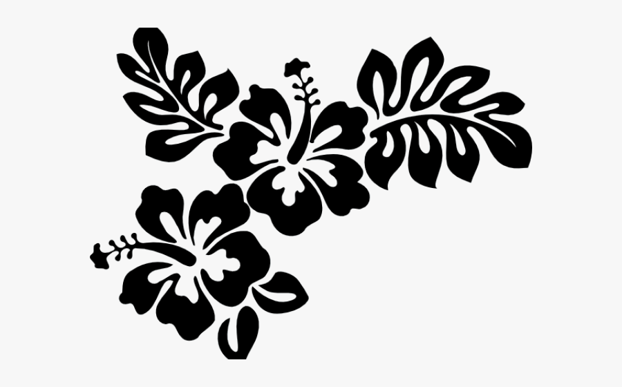 Transparent Hibiscus Border Png - Hibiscus Clip Art, Transparent Clipart