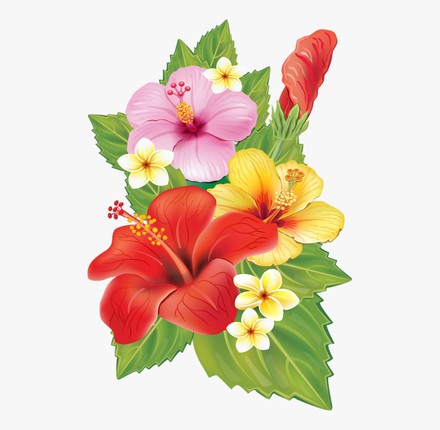 Hibiscus Clipart Plumeria - Transparent Background Tropical Flowers Clipart, Transparent Clipart