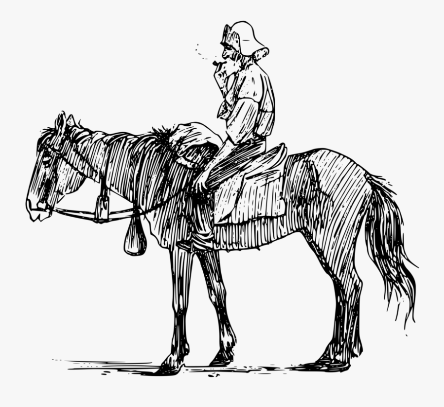Transparent Ants Clipart Black And White - Man On Horseback Drawing, Transparent Clipart