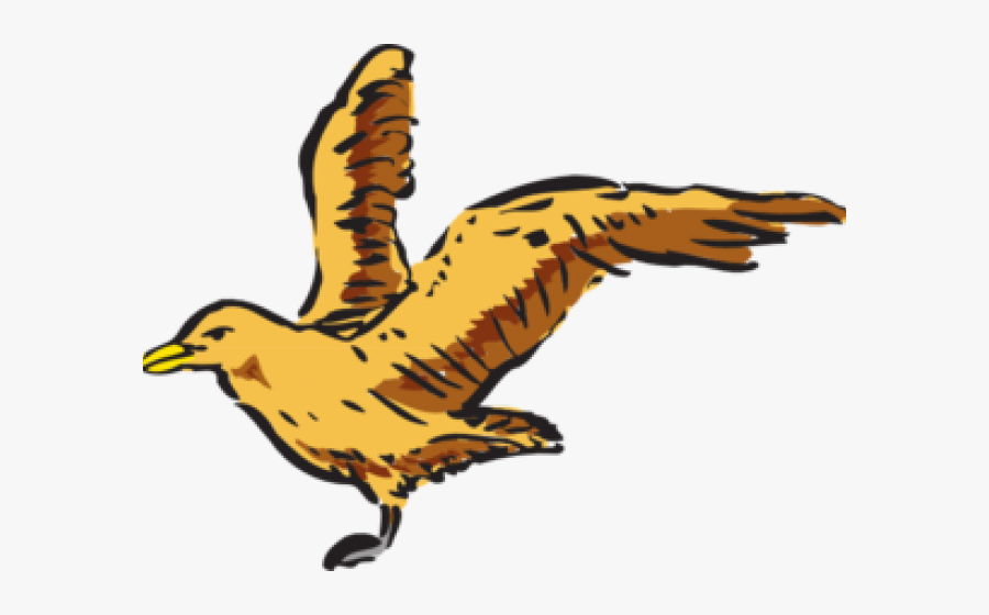 Turkey Bird Clipart Side View - Cartoon Bird Side View, Transparent Clipart