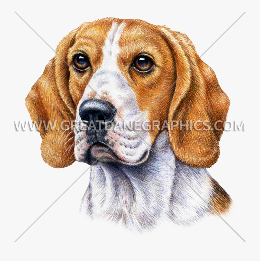 Beagle Clipart Face - The Mountain Beagle Face Adult T-shirt, Transparent Clipart
