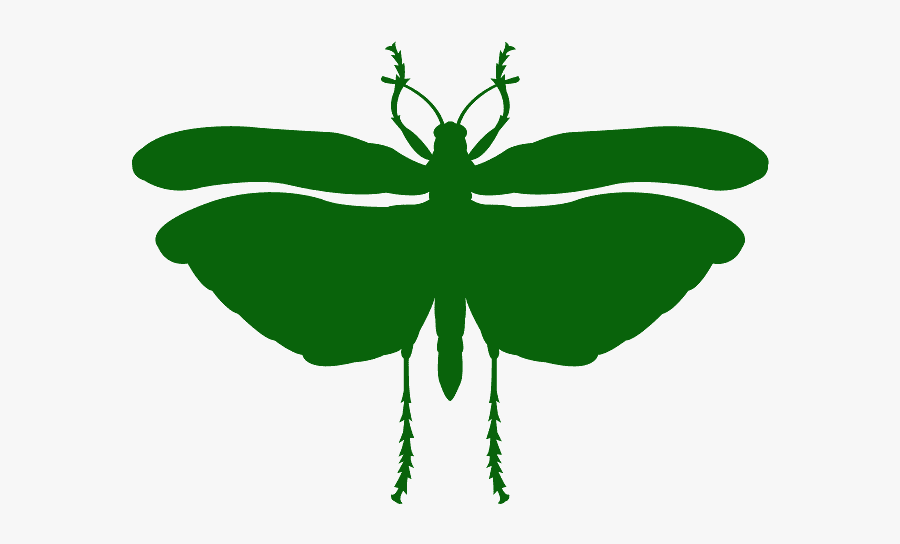 Locust Silhouette, Transparent Clipart