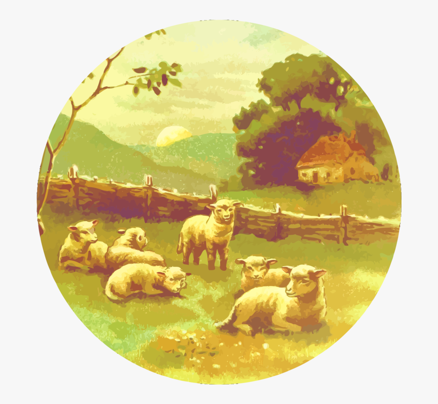 Fauna,organism,leicester Longwool - Sheep, Transparent Clipart