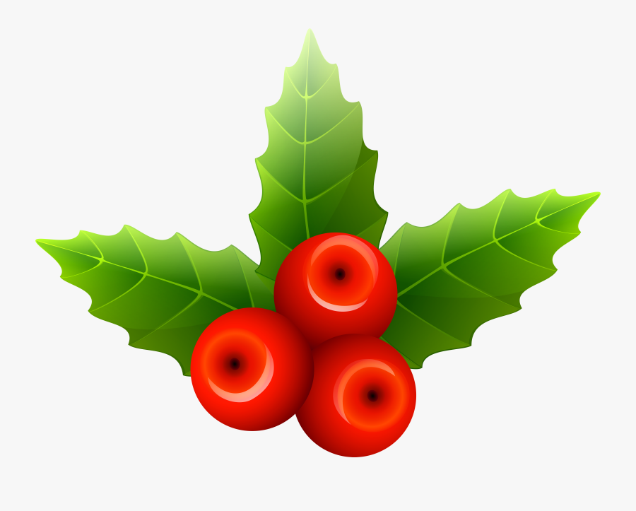 Mistletoe Png, Transparent Clipart