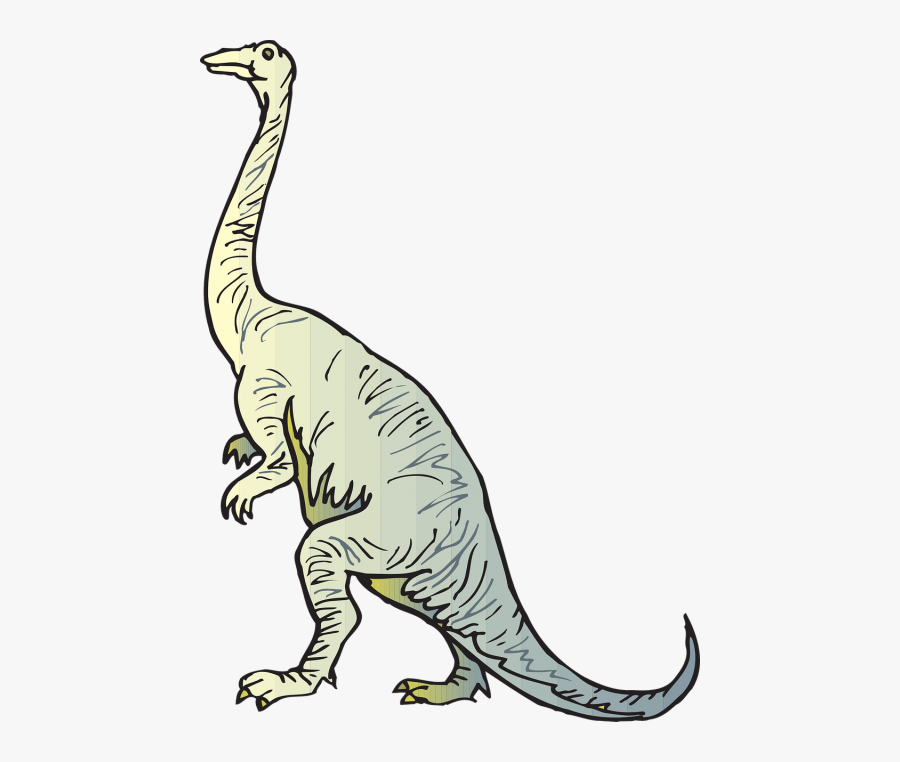 Diplodocus Coloring Page, Transparent Clipart