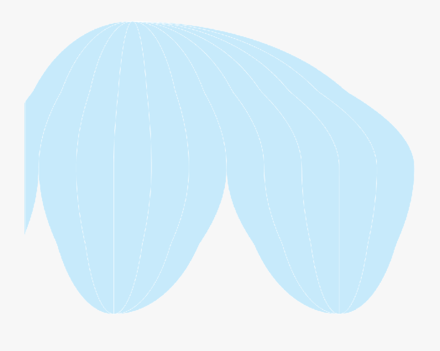 Cultural Clipart Cultural Geography - Baltic Clam, Transparent Clipart