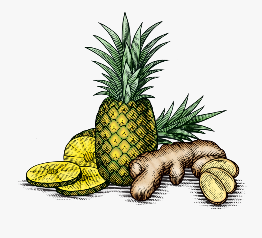 Pinagingerroot - Pineapple, Transparent Clipart