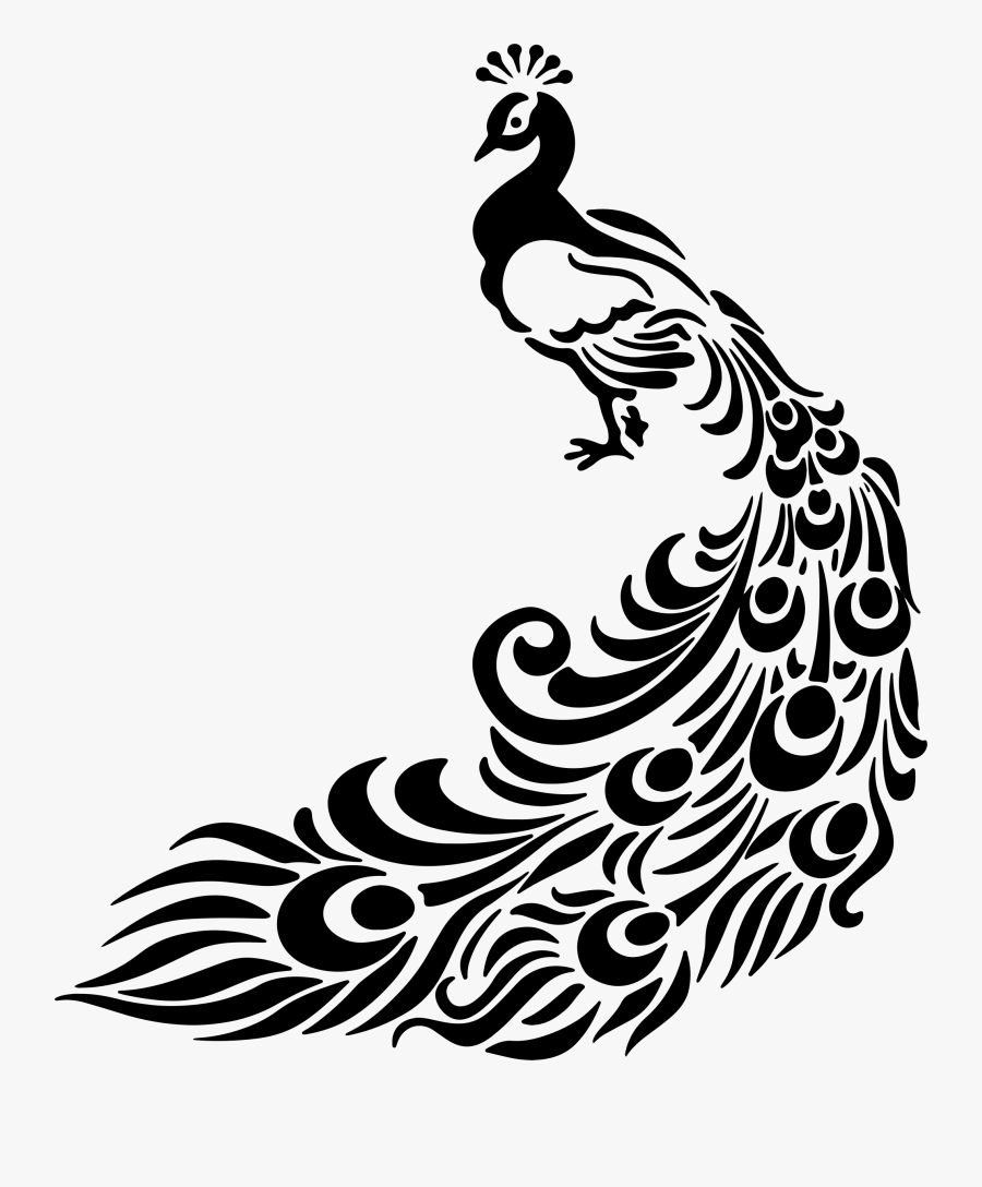 Art,monochrome Photography,body Jewelry - Black And White Peacock Art, Transparent Clipart