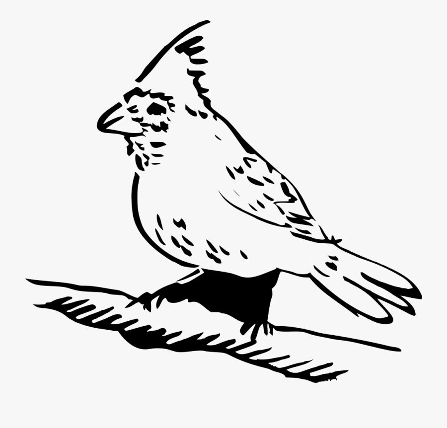 Download Png - Feather - Perched Clipart, Transparent Clipart