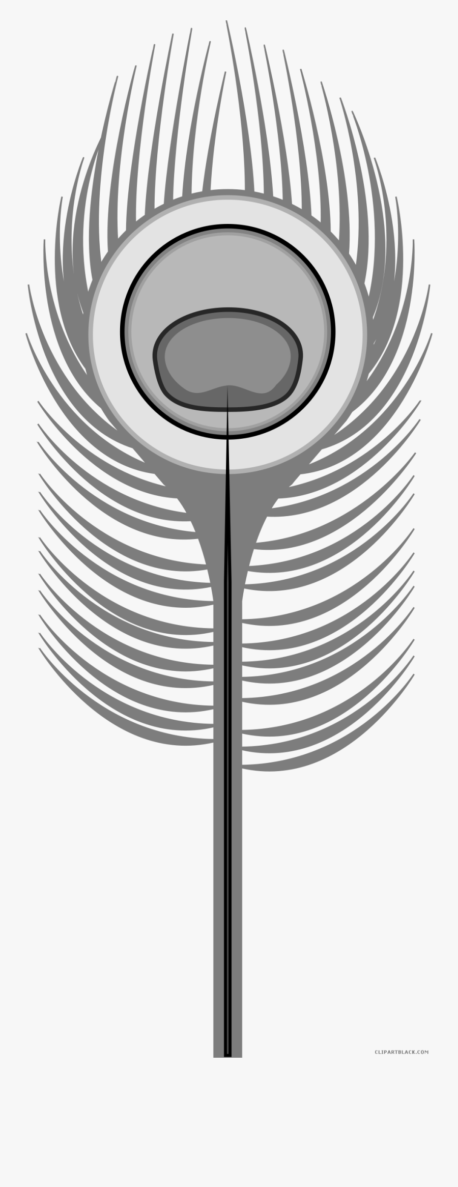 Feathers Clipart Peacock - Clip Art Peacock Feathers, Transparent Clipart