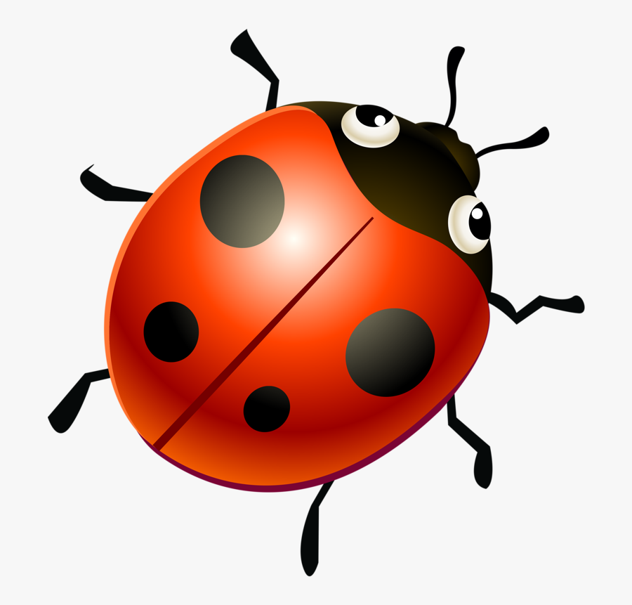 Insects Clipart Whimsical - Ladybird Beetle, Transparent Clipart
