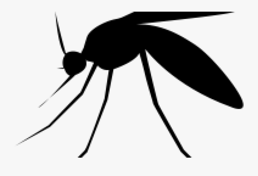 Transparent Journal Clipart Black And White - Dengue Fever, Transparent Clipart