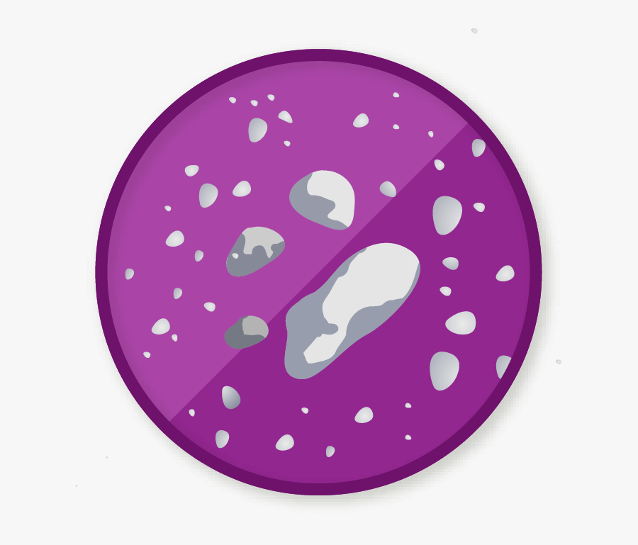 Circle, Transparent Clipart