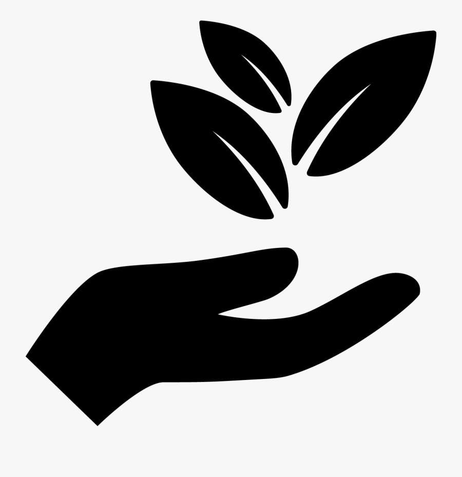 Hand Holding Leaf Icon, Transparent Clipart