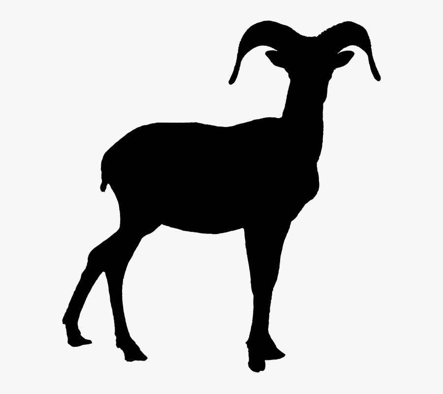 Skull Clipart Bighorn Sheep For Free Download And Use - Bighorn Sheep Black And White, Transparent Clipart