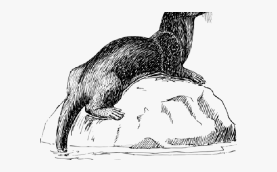 Otter Clipart Outline - Otter Black And White, Transparent Clipart