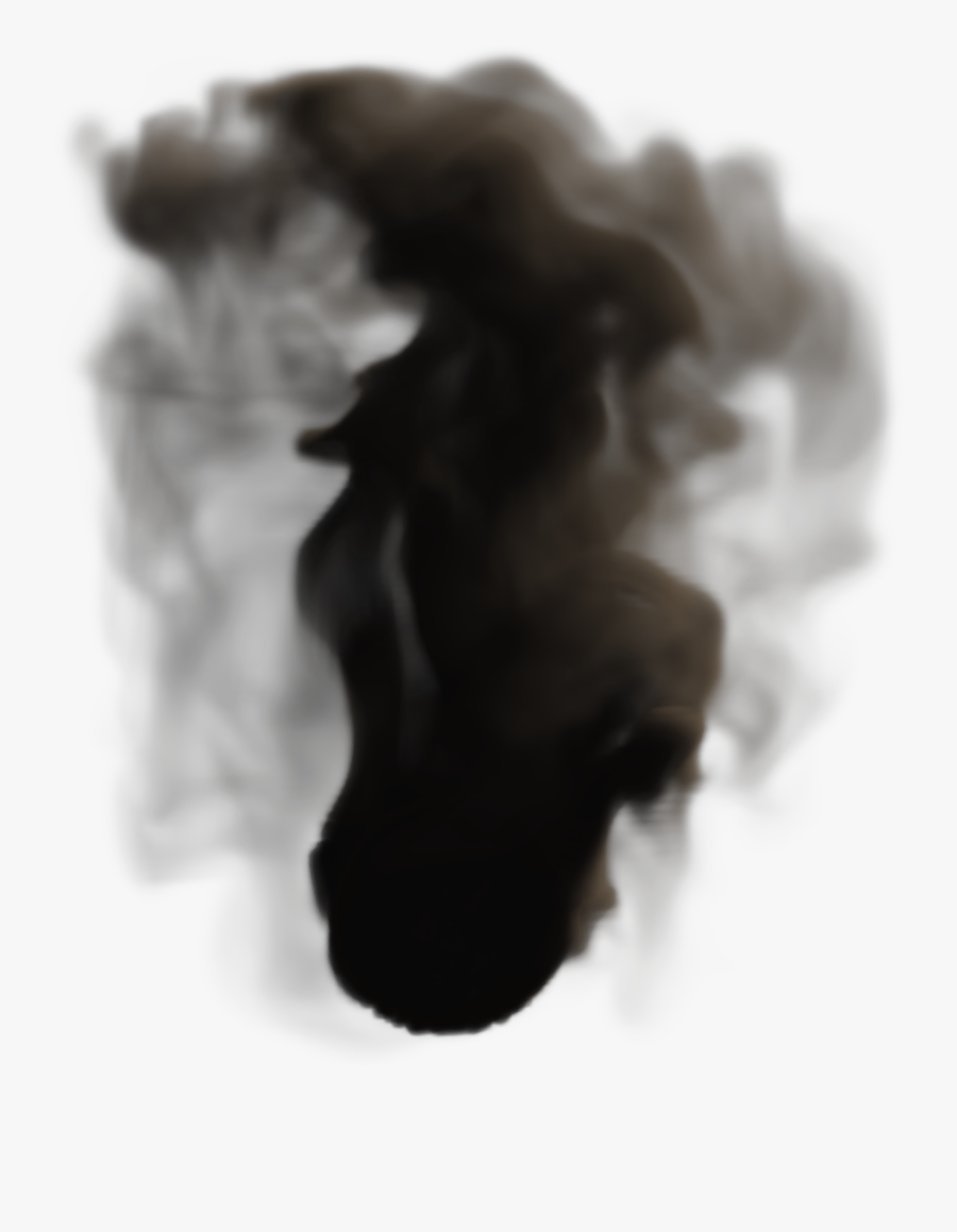 Stallion , Png Download - Black-and-white, Transparent Clipart