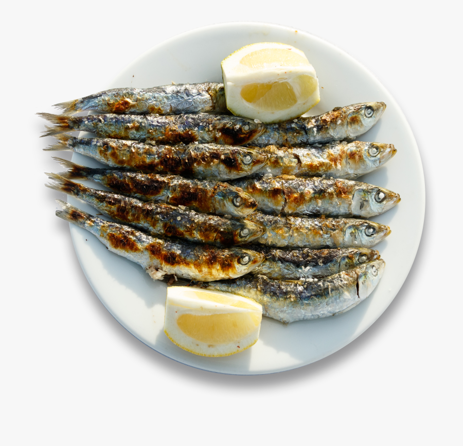 Transparent Gourmet Food Clipart - Anchovy (food), Transparent Clipart