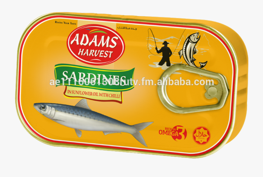 Transparent Sardines Png - Great White Shark, Transparent Clipart