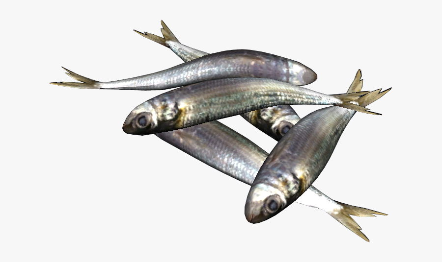 Png Sardine Fish - Sardine Png, Transparent Clipart