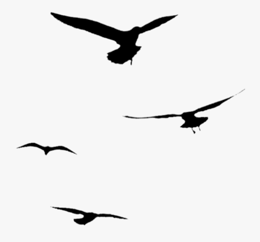 #silhouette #birds #flying #seagulls - Silhouette Birds Flying, Transparent Clipart