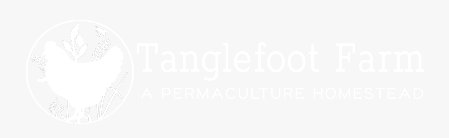 A Classic Southern Pecan Pie With Molasses - Raihan, Transparent Clipart