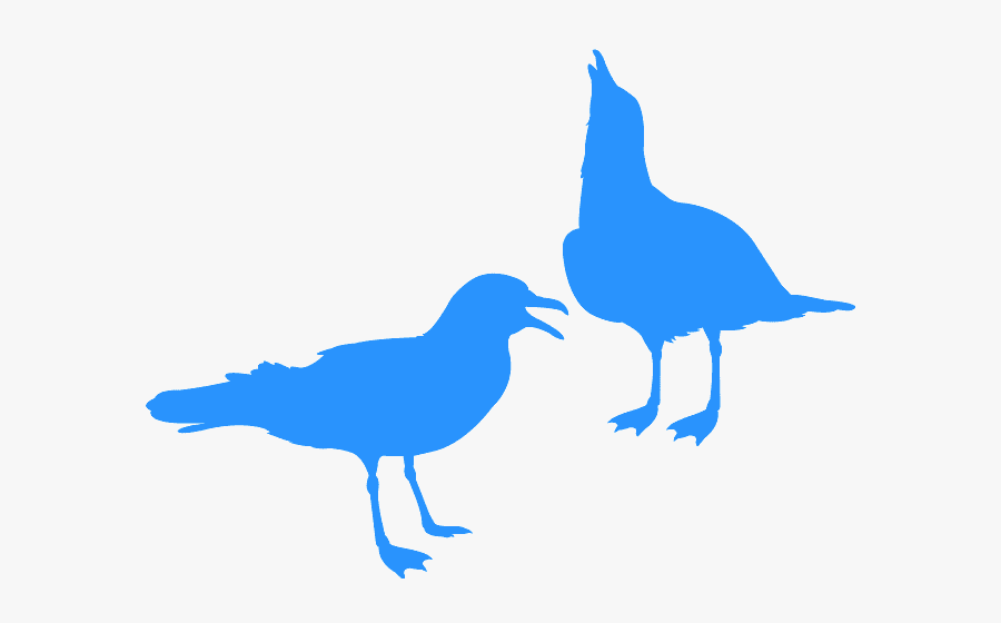 Crow, Transparent Clipart