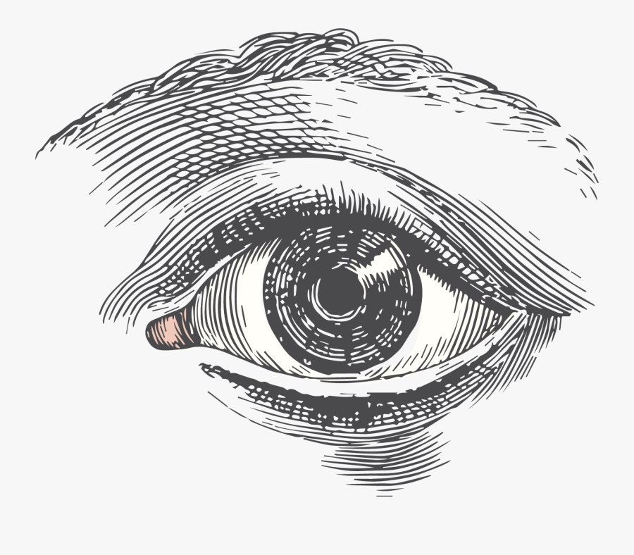 Kapow Art Studio - Eye Old Illustration, Transparent Clipart
