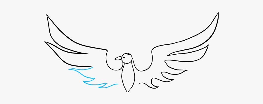 How To Draw Phoenix - Hawk, Transparent Clipart