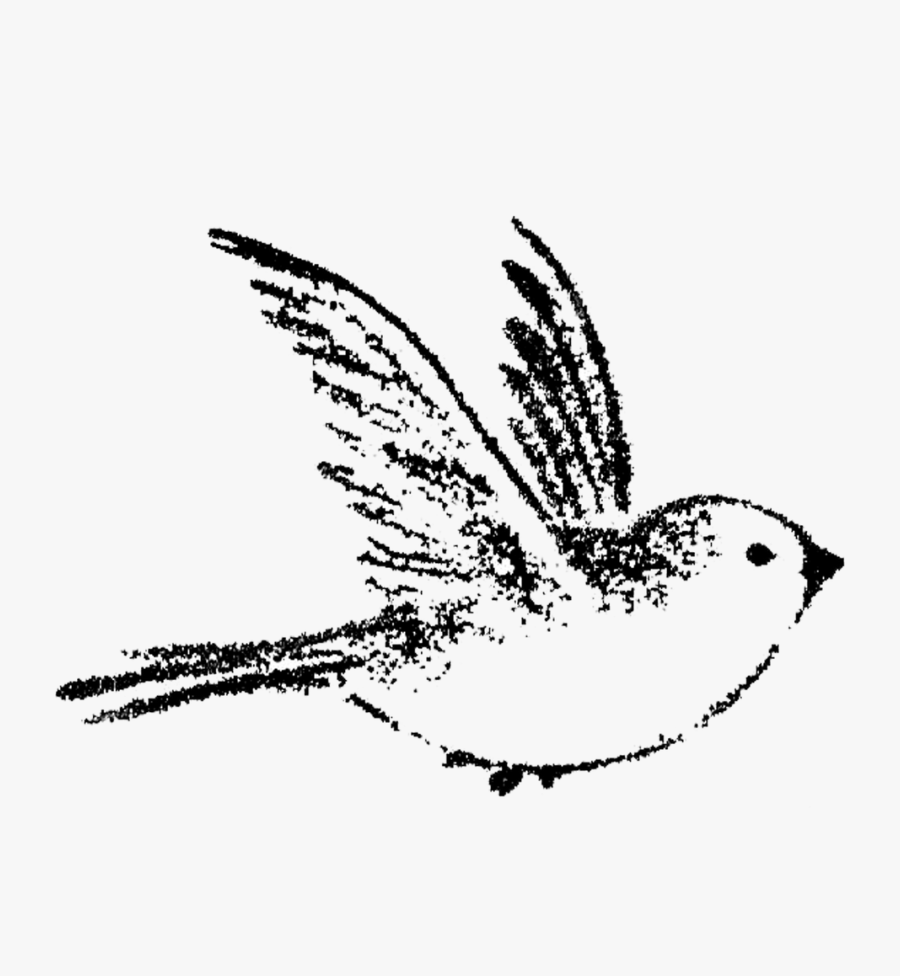 Small Birds Flying Drawing, Transparent Clipart