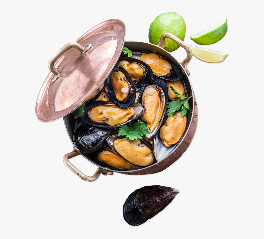 Seafood Top Oysters - Mussel, Transparent Clipart